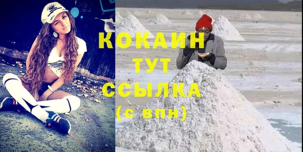 хмурый Алзамай