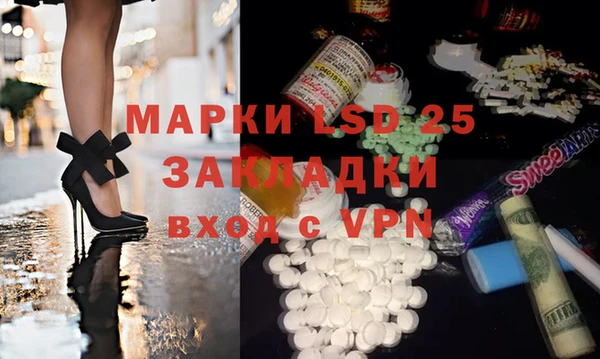 хмурый Алзамай